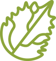 Крапива