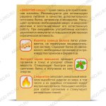 Коктейль Энергия плюс, Арго, 25 г