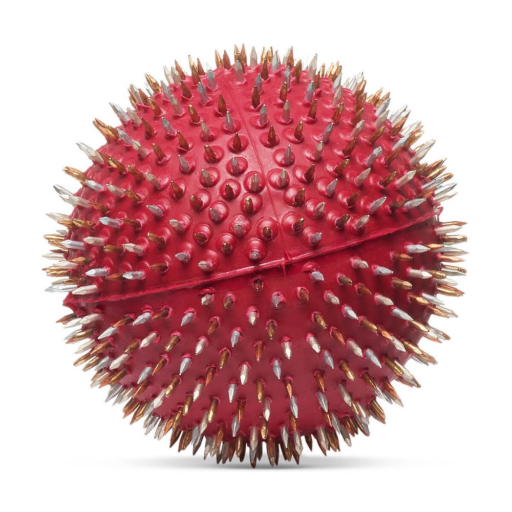 Мячик игольчатый Ляпко образец